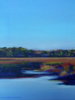 Light Marsh Study